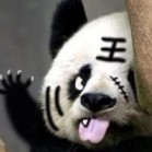 703029 王磊
