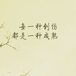 703325 绿筱竹