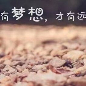 703379 ～纵-横～助手