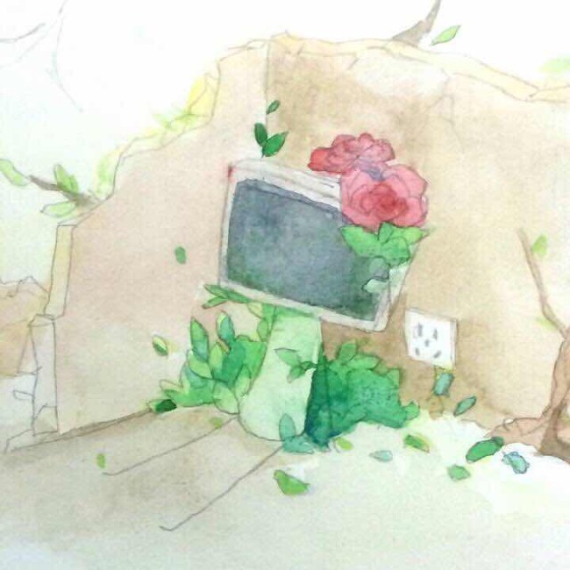 703465 黑麻皮土豆