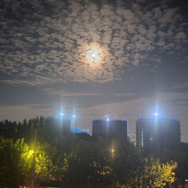 704359688 追梦少年