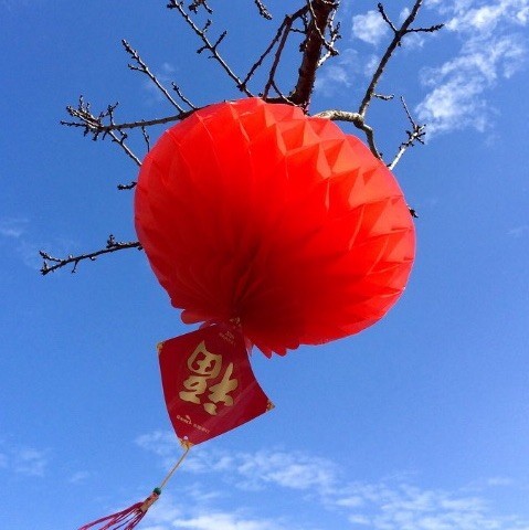 715863 李文