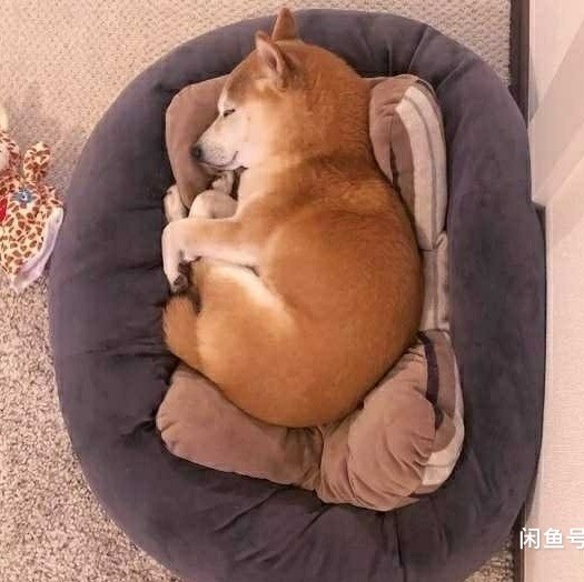715906 这场名叫人生的旅途