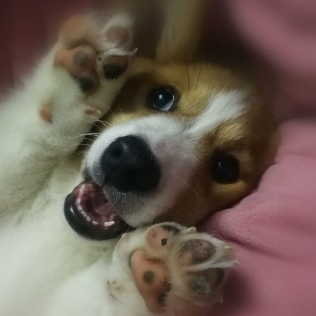 715919 陈较瘦。