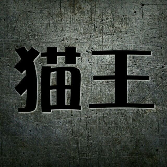 716377 猫王