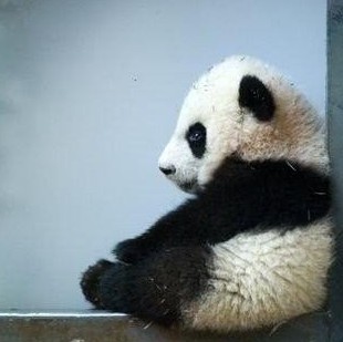 716583 明子