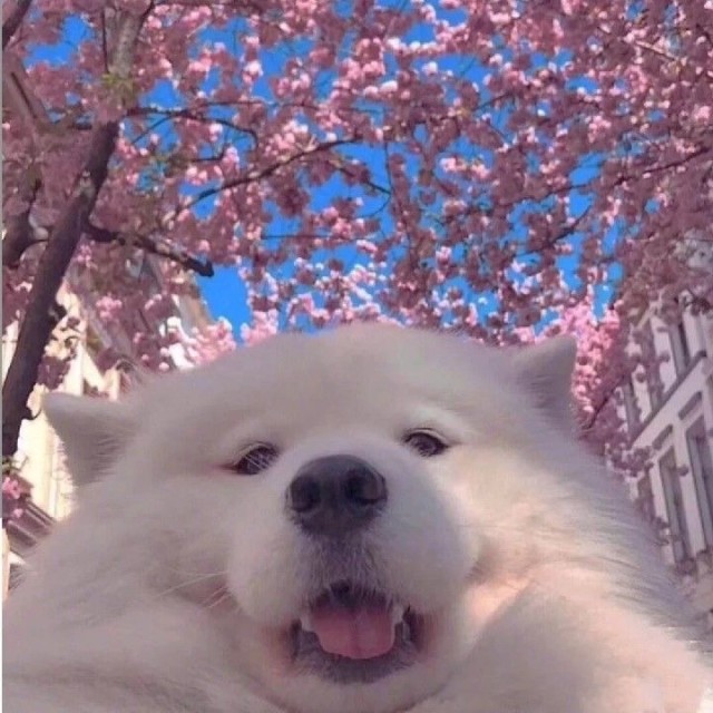 716672 芘䘚葊