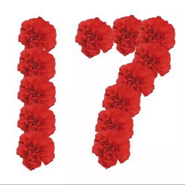716701 芒果