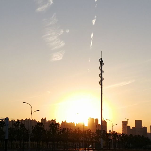 717264 弦雨音