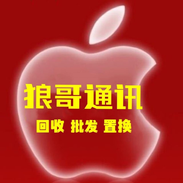717308 飞翔