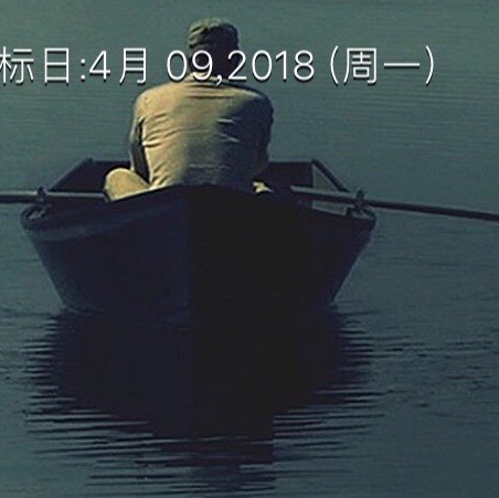 717703 李子