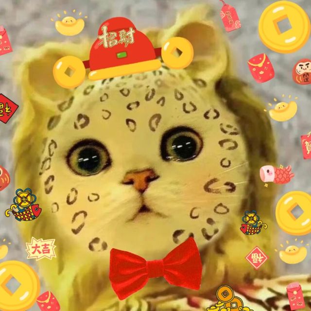 717848 咬鱼睡的猫