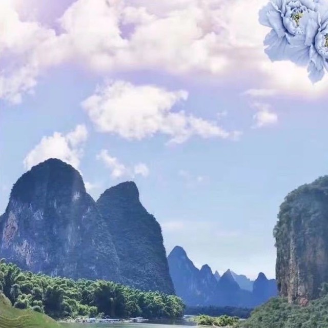 718355 飞驴