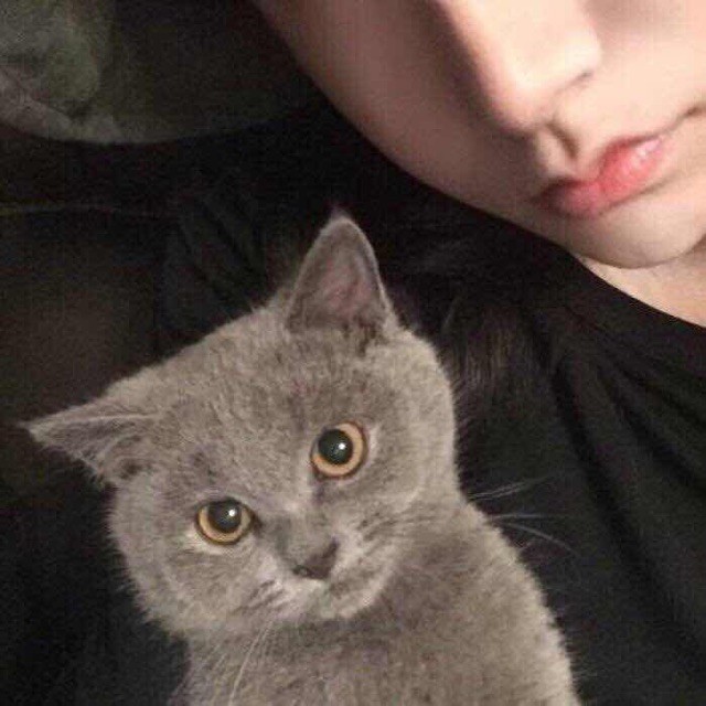 718915 哦