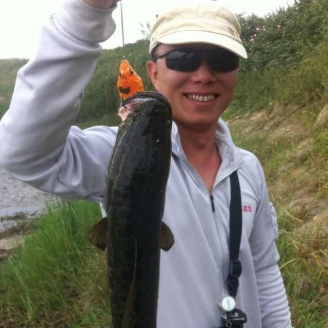 719668 小飞虎
