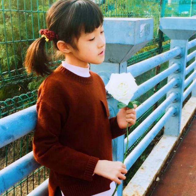 720733 蝴蝶