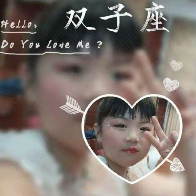 721171 九条命的猫