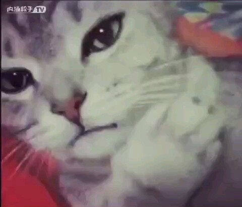 721569 姚腾