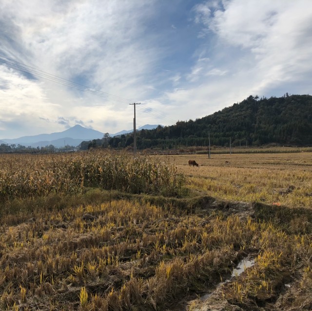 721684 千山万水