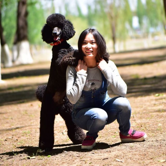 722060 Dolly
