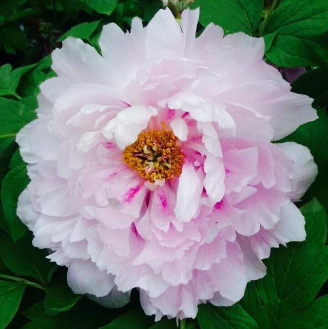 723242 春夏秋冬