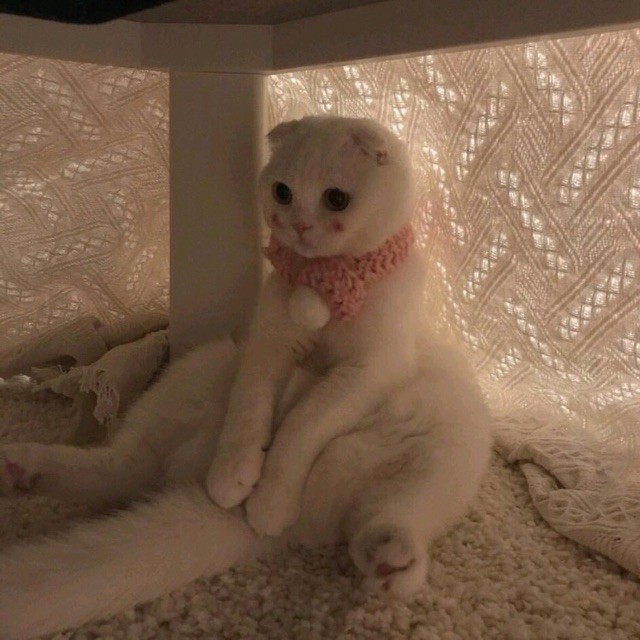 723277 