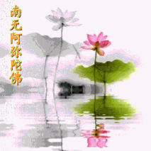 723636 止语