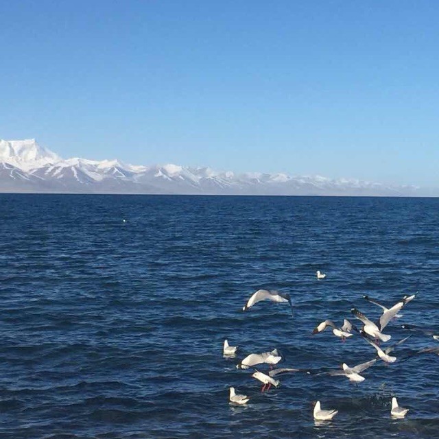 723874 浮云