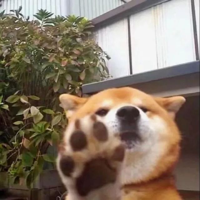 723986 始终会微笑的男人～