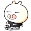 724229 Mr.mao
