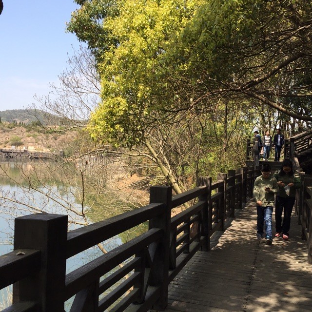 724271 殘夏✅已认证