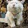 724512 007JIANG