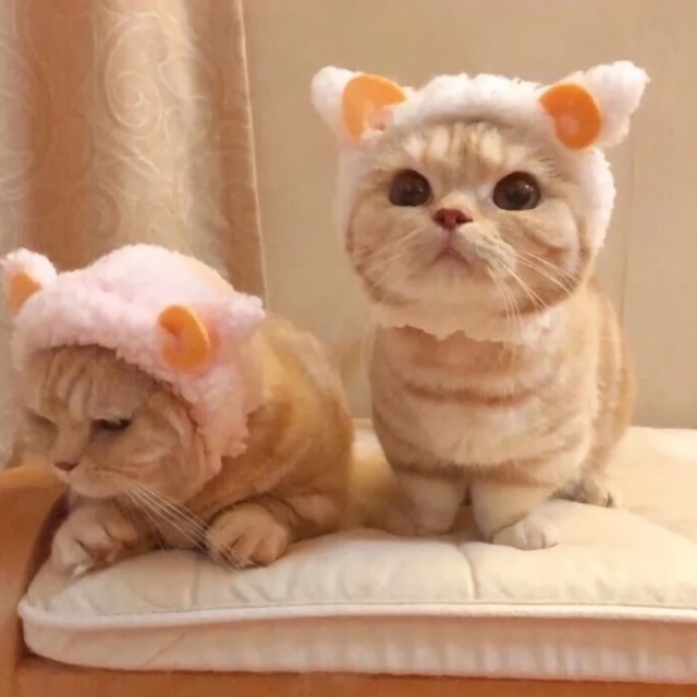 724574 ゞ╱/莋_戯゛