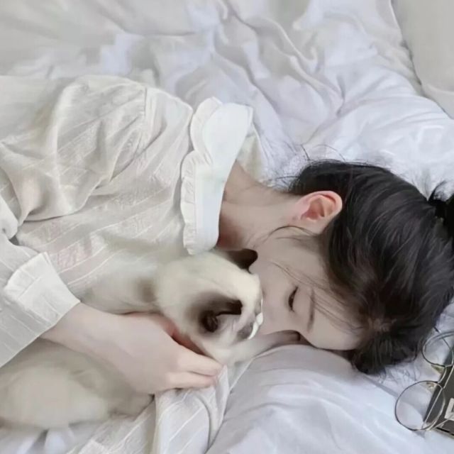 724891 修练中的狐狸の
