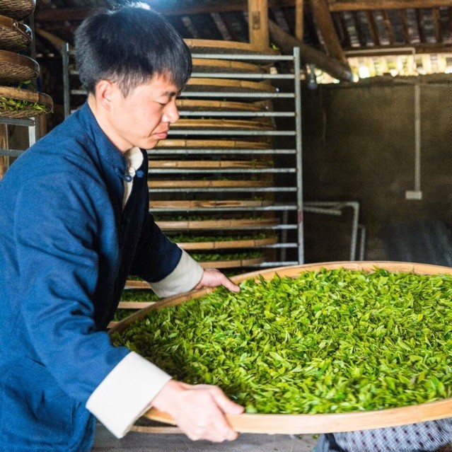 725780 凤溪茶人丨张陈勇