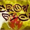 725929 CrowDick