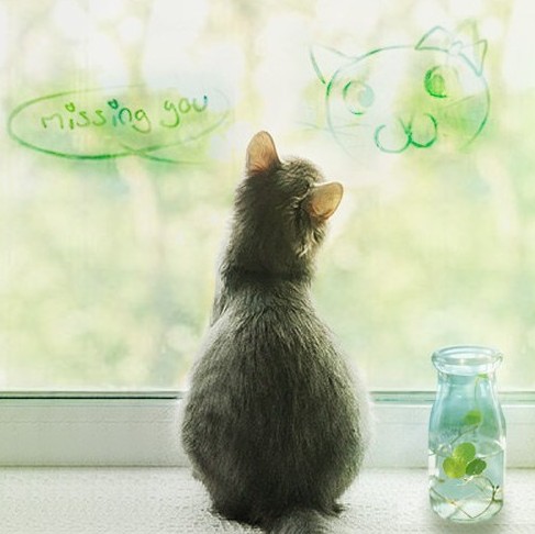 726593 我有点小困！~