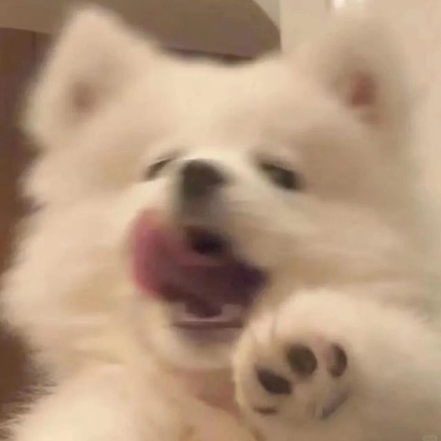 726723 豆豆丁