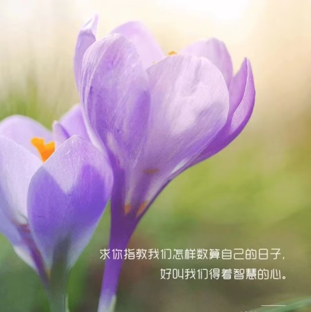726923 刘欣妈妈
