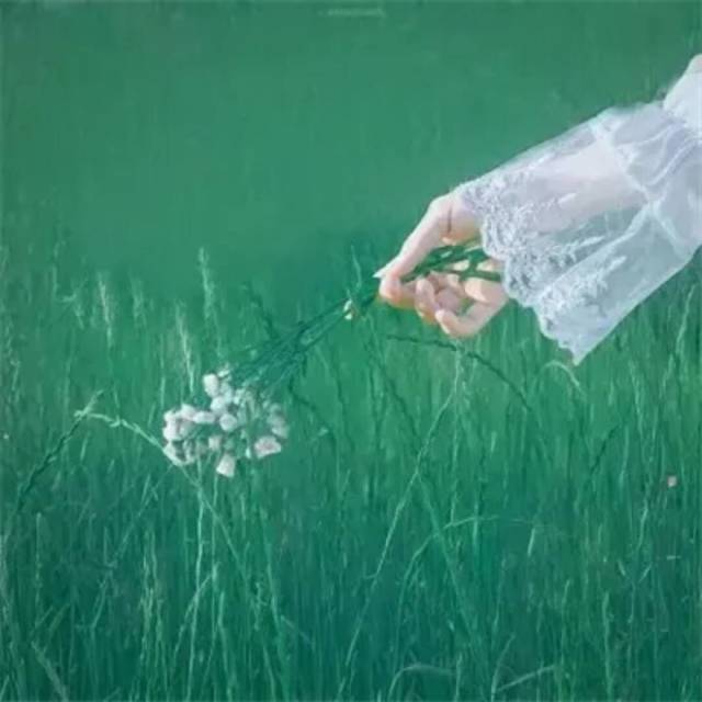 727004 ゝ薄暮流云