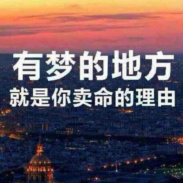 727231 闪闪