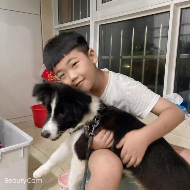 727480 兄弟