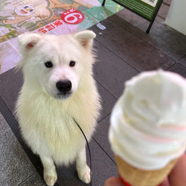 728091 留给下一代