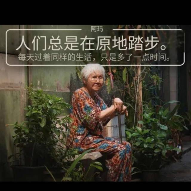 728192 山麻杆