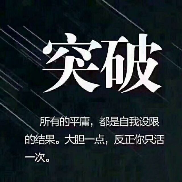 728708 雪狼