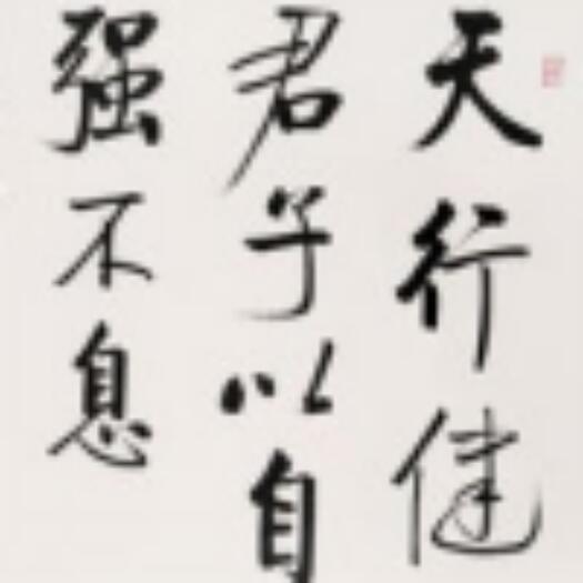 729105 刘政曜