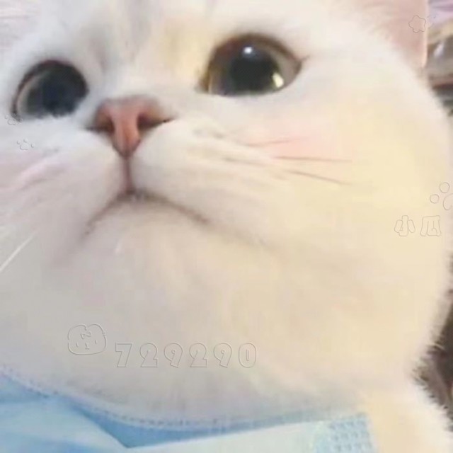 729290 ⁢