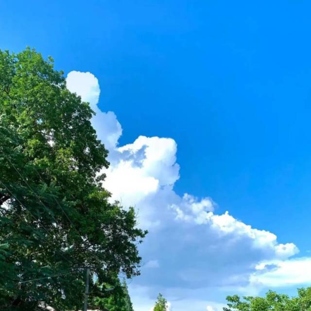 729335 瞬间