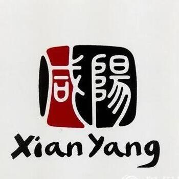 729376 咸阳世尚数码
