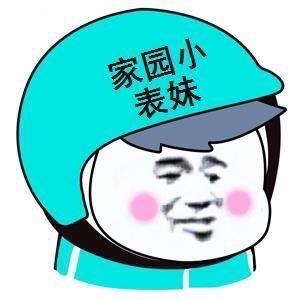 729496 Echizen